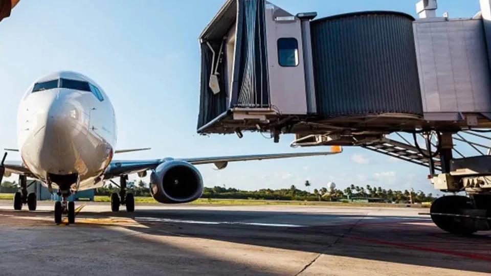 Homem é preso em Brasília por abandonar cachorro em aeroporto