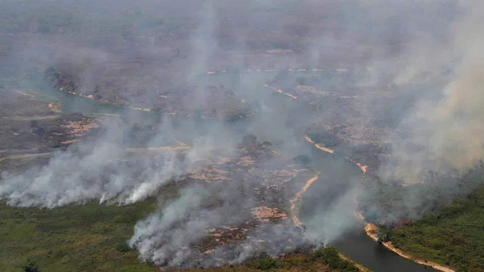 Incêndios florestais mais destrutivos aumentam na última década