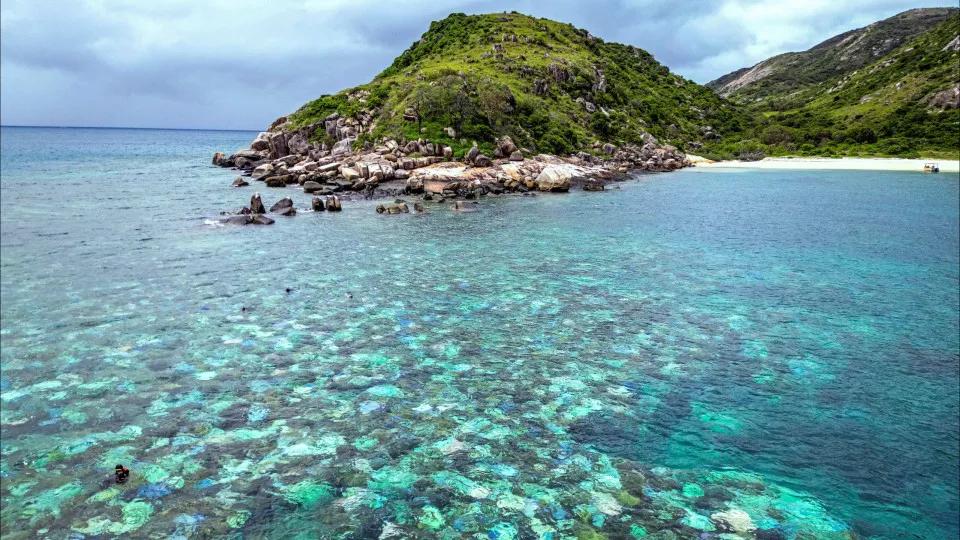 Idosa é encontrada morta após ser deixada por cruzeiro na Austrália