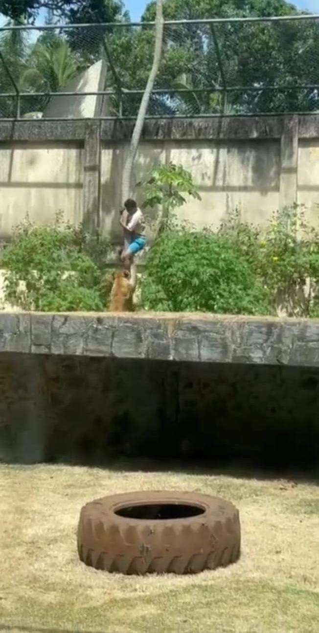 Morte de Gerson na Bica expõe falhas no atendimento a jovens com transtornos mentais