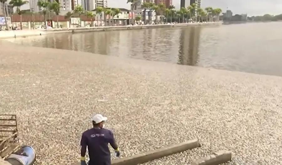 Mais de 5 toneladas de peixes mortos são retiradas do Açude Velho