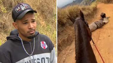 Homem confessa mutilação de cavalo em SP e afirma: "Não sou um monstro"
