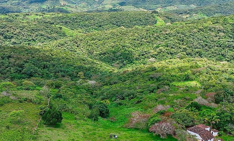 Desmatamento de Mata Atlântica é alvo de operação na PB