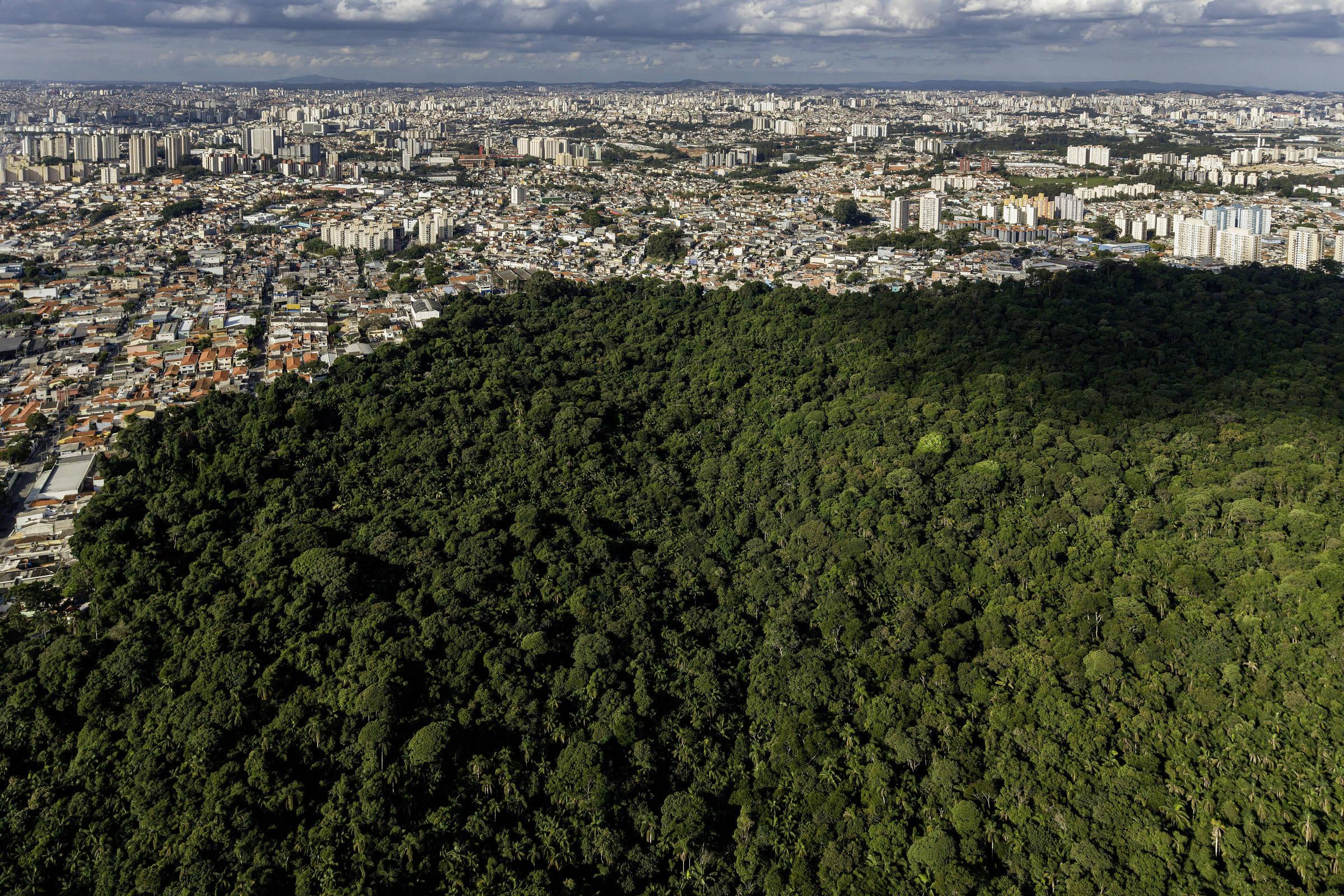 Brasil propõe fórum internacional de comércio e clima antes da COP30