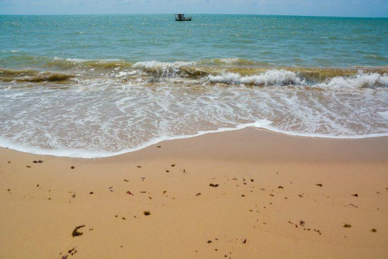 Aumento de águas-vivas eleva atendimentos médicos em praias de João Pessoa