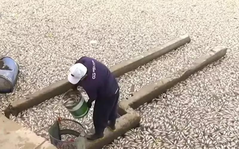 Açude Velho receberá equipamentos de oxigenação até segunda (19), informa PMCG